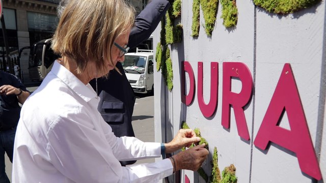 Semaine du développement durable 2017 : l'art urbain végétal ou quand la nature prend la parole