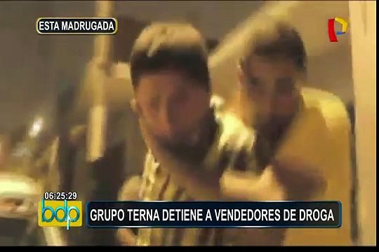 Grupo Terna realizó operativo contra la delincuencia en varios distritos de Lima