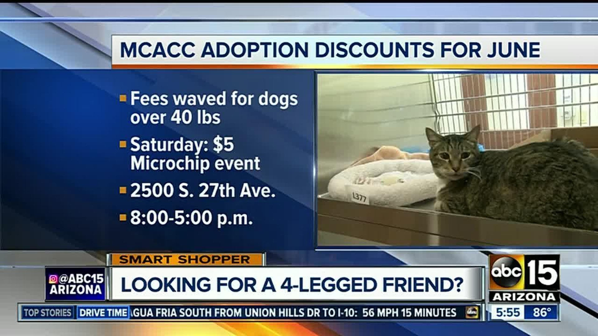 Mcacc free adoption 2025