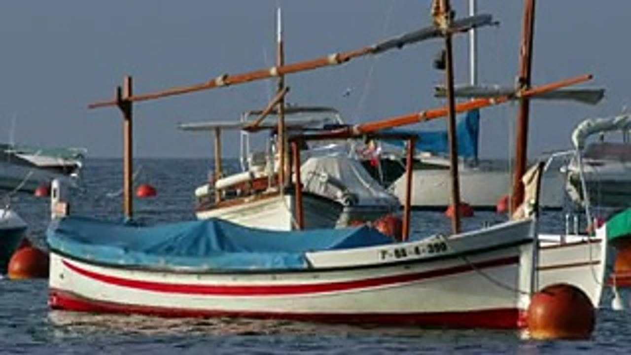 Sea Sails