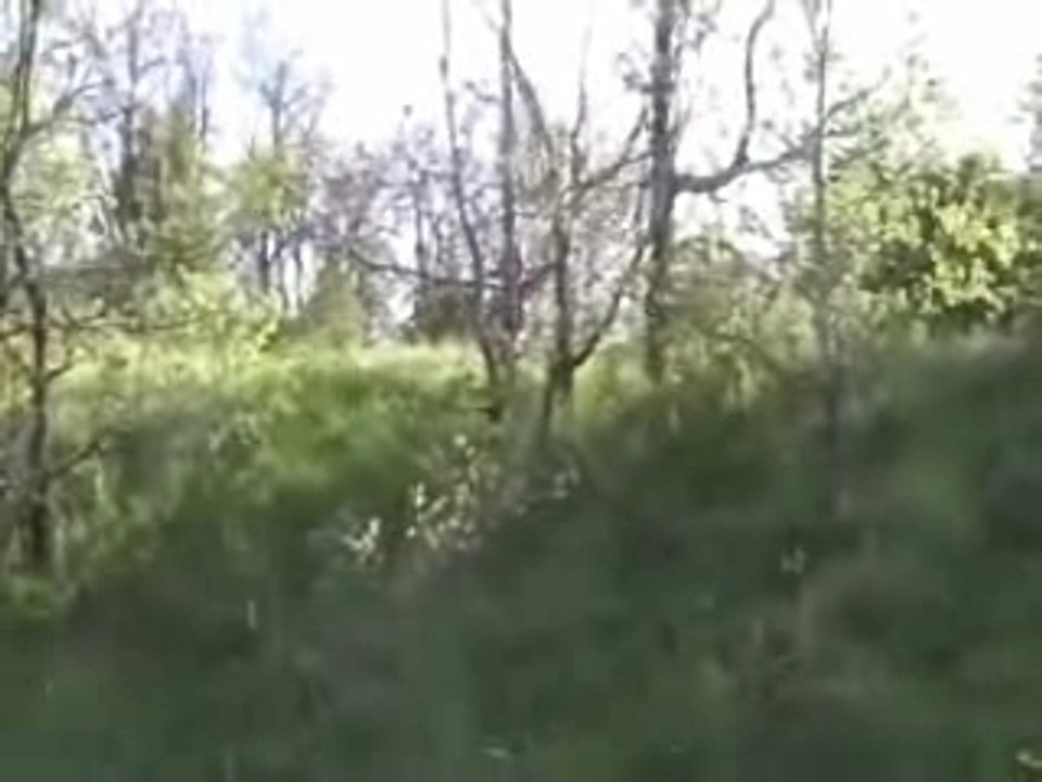Enduro video_0001