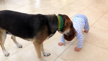 Dog and Baby BFFs