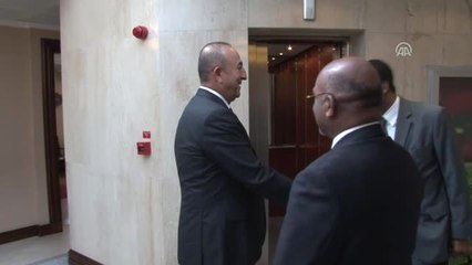Dışişleri Bakanı Çavuşoğlu'nun Kabulü