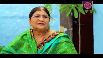 Haal-e-Dil Episode 157 - on Ary Zindagi in High Quality 6th June 2017