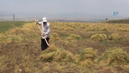 40 Derecede Mercimek Hasadı