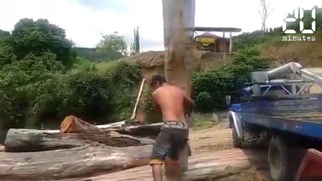 Il soulève seul un énorme tronc! Quel est son secret? - Le Rewind du Mardi 06 Juin 2017