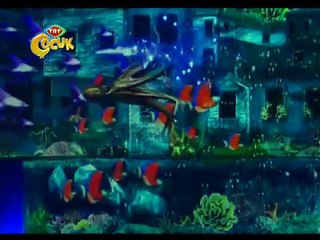 23 Nisan Gala Gösterisi Renklerin Dansı - Mavi,Çizgi film izle 2017