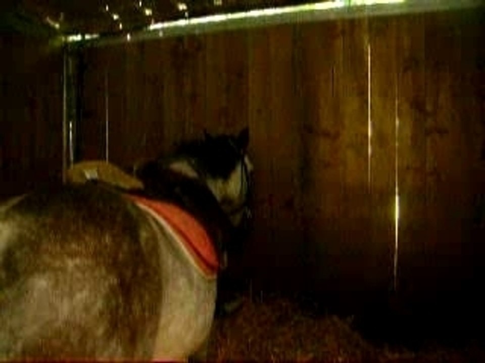 Photos du cour du mercredi 19 septembre 085