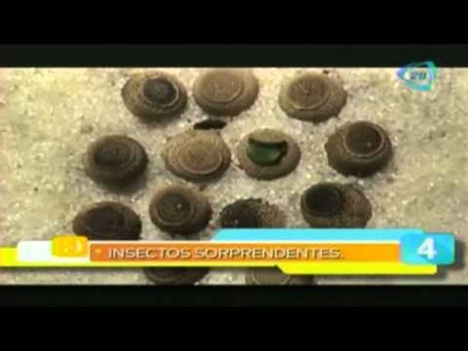 Las 5 maravillas del día- 23 de marzo