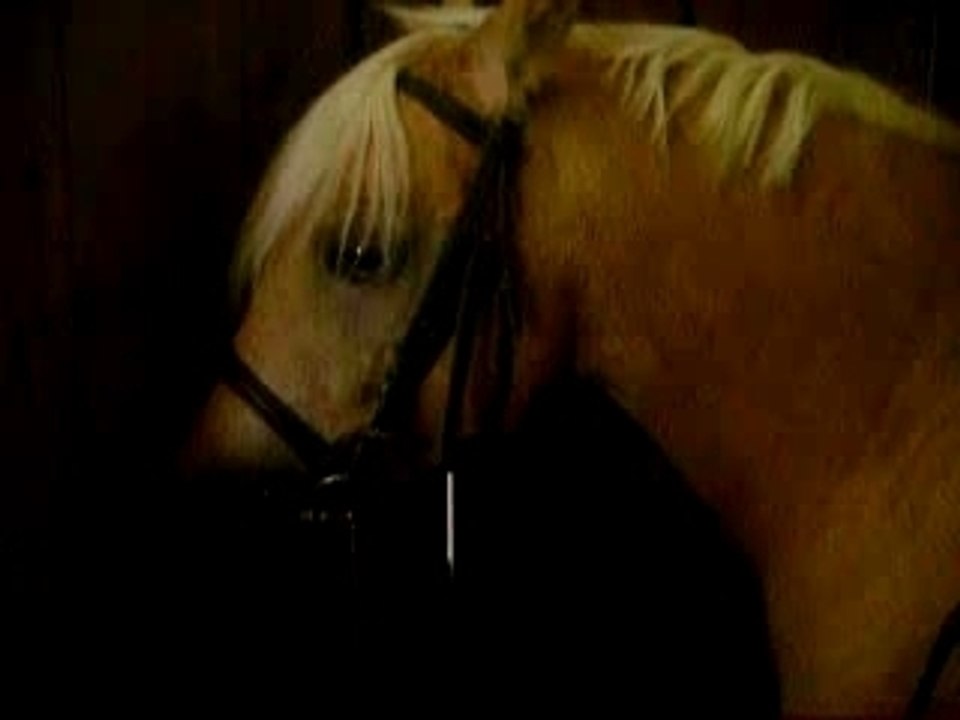 Photos du cour du mercredi 19 septembre 084