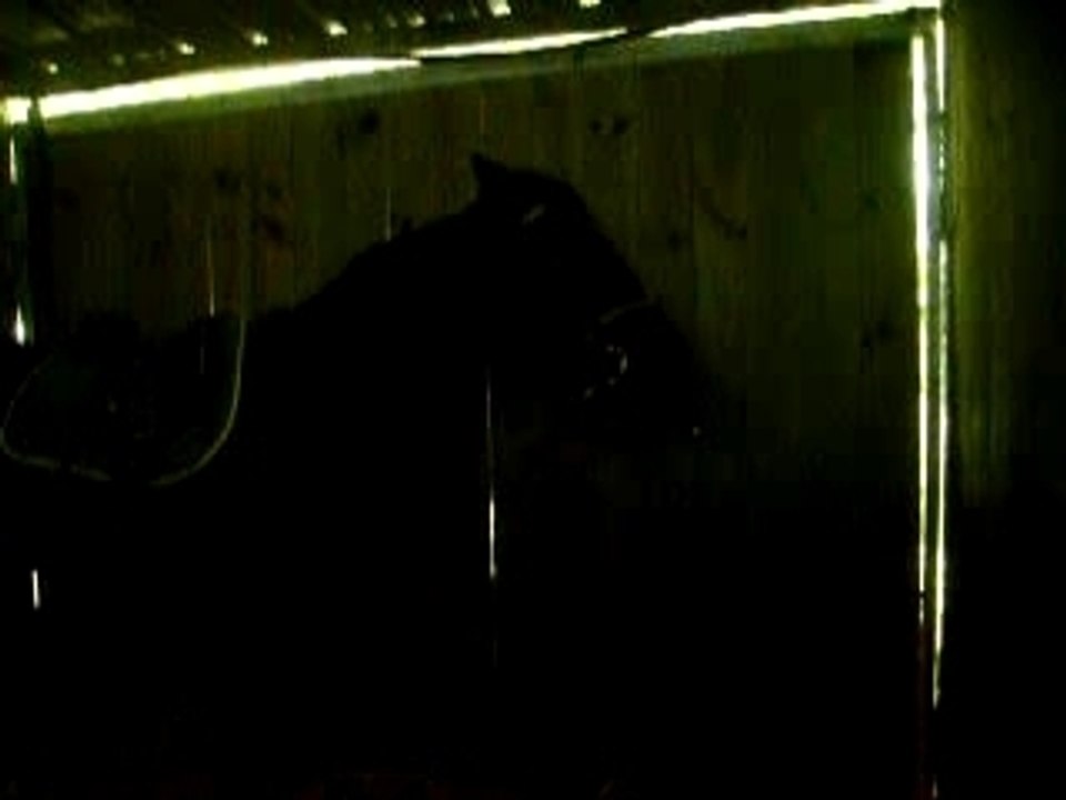 Photos du cour du mercredi 19 septembre 083