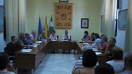 Pleno Extraordinario 5 de Junio de 2017