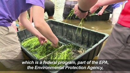 Envoys wade in to help US waters despite Trump climate snub