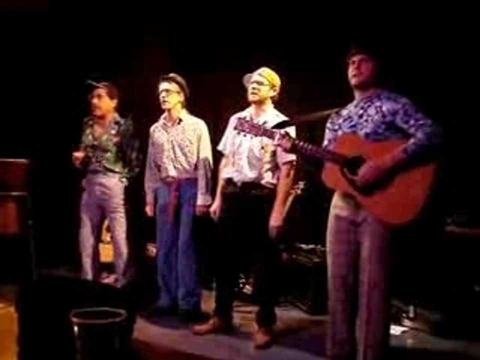 Les renards chauves en concert