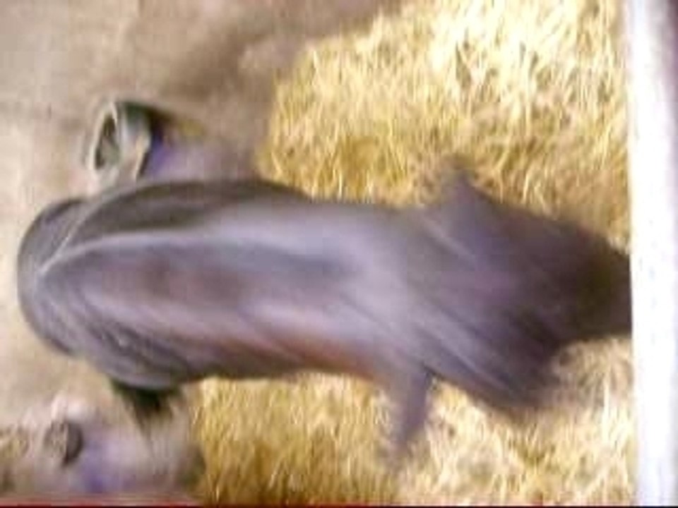 Photos du cour du mercredi 19 septembre 078