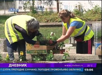 Dnevnik , 6. jun 2017 (RTV Bor)