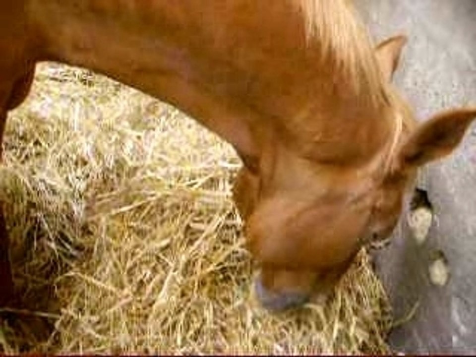 Photos du cour du mercredi 19 septembre 077