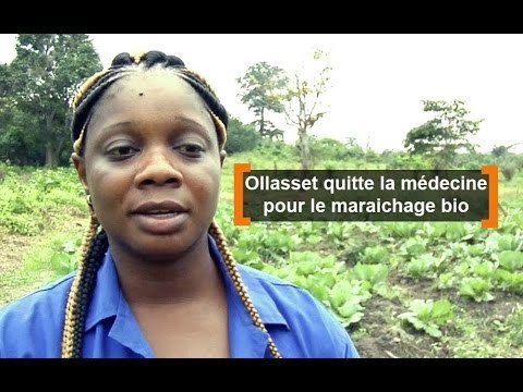 Côte d'Ivoire : Ollasset quitte la médecine pour le maraichage bio