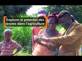 Cameroun : Explorer le potentiel des drones dans l’agriculture