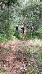 vino moto rando " presque"