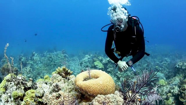 Breathe Easy Underwater with Cressi Scuba Diving Gear