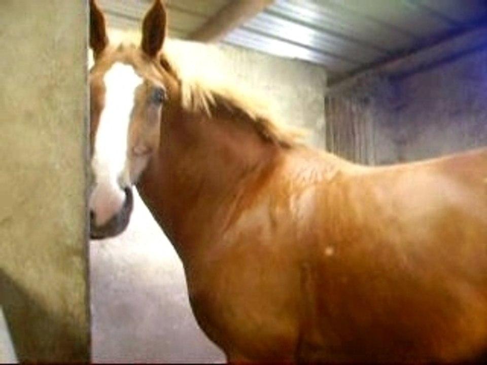 Photos du cour du mercredi 19 septembre 075