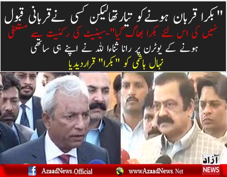 Rana sanaullah direct target the Nehal hasmi