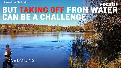 This Solar-Powered Drone Acts Like A Duck