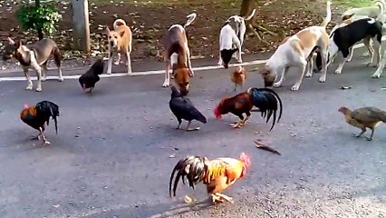 Prendre le petit déjeuner avec ses amis