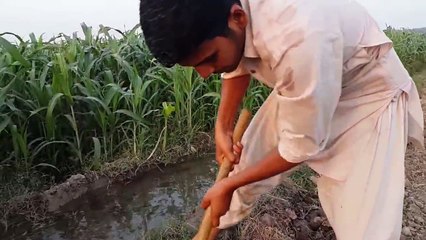 Walid Ke Ehsas Ki Kadar Karni Chaye ! ( Short Story )