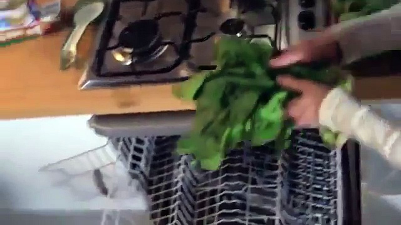 Dünyanın En Komik 10 Kaza Videosu
