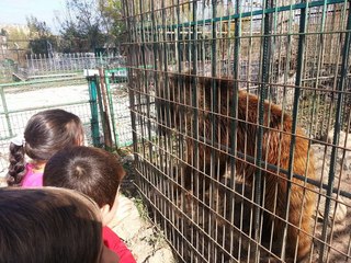 Yaşam Hakkı ve Gerçekler / Eğitim ve Sunum Videosu