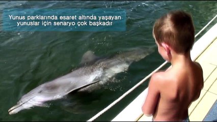 SONER ARICA _YARIN HER ŞEY DEĞİŞEBİLİR_ Yunuslara Özgürlük