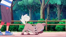 Lillie And Ash Lie To Kiawe! Pokemon Sun & Moon Anime Episode 17 [English Dubbed]