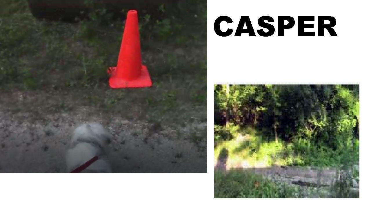 Casper Goes on a Trail