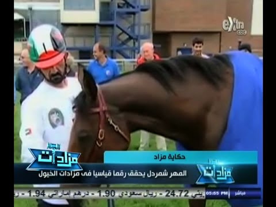 #مزادات | حكاية مزاد | المهر شمردل يحقق رقماً ق...