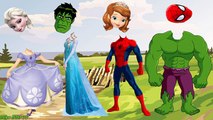 Wrong Heads Funny Elsa Frozen Sofia the First Hulk Spiderman Finger Family Nursery Song Kids Toy Fun