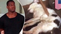 Animal abuse: Man arrested for live-streaming footage of cat torture on Facebook Live - TomoNews