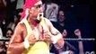 Hulk Hogan & Shawn Michaels vs  Backlash 2005