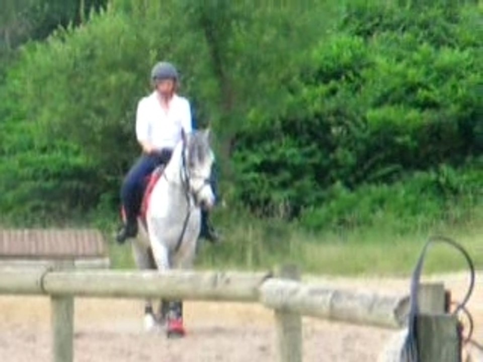 Nono un poney d amour