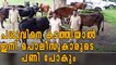 Police Station Incharges in Jharkhand to be Sacked for Cow Smuggling | Oneindia Malayalam