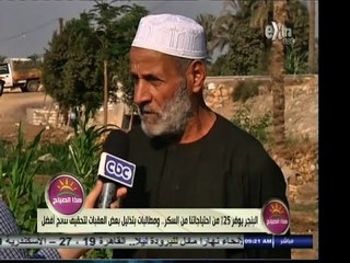 #هذا_الصباح | البنجر يوفر 25 ٪ من احتياجات مصر من السكر ومطالبات بتذليل العقبات لإنتاج أكبر