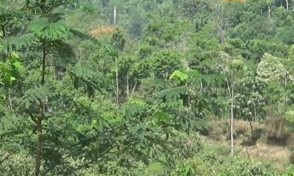 Menikmati Keindahan Air Terjun Cijalu dengan Berpiknik