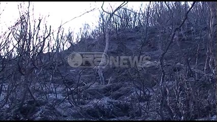 Ora News -Dëme të konsiderueshme në kurorën e gjelbër, 9 vatra zjarri nga veriu në jug