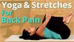 YOGA for BACK PAIN | STRETCHES for Back Pain | EASY YOGA WORKOUT | Beginners Back Pain