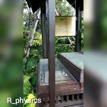 ระหัดดนตรี คีตราชัน คลิป ใช้ระหัดน้ำในการสร้างเสียงดนตรีพระราชนิพนธ์