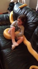 Une jeune fille regarde la TV avec son serpent de 6 mètres !