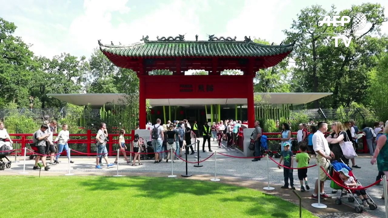 Happy Birthday Jiao Qing!