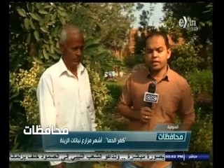 #أخبار‪_‬المحافظات | المنوفية .. " كفر الحما " .. أشهر مزارع نباتات الزنية