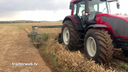 Fasulye Biçme Makinesi